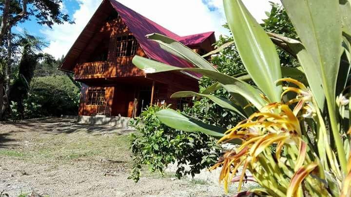 La Cabana De Noa Oxapampa Buitenkant foto